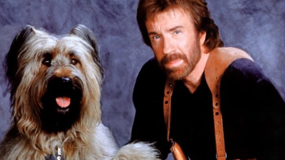 Top Dog